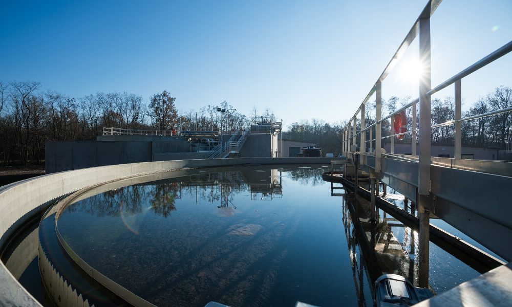 water plant